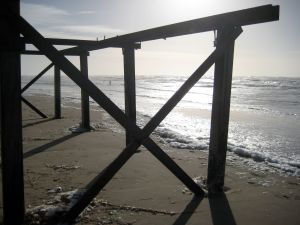 strandpaviljoen ewoudbutter